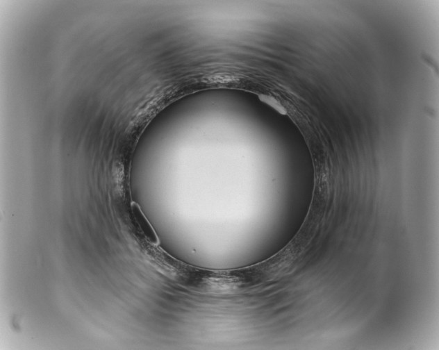 X0000099540556200805301502