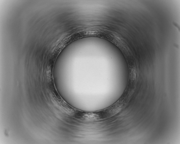 X0000099540557200805301502