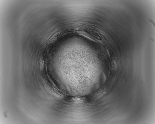 X0000099540558200805301502