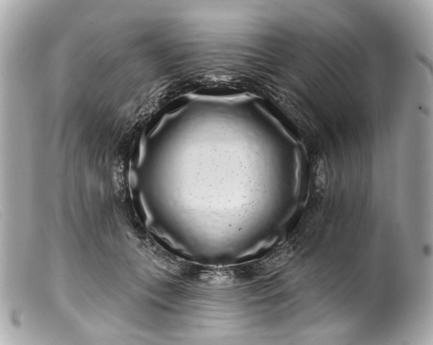 X0000099540559200805301503