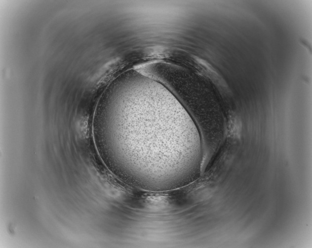 X0000099540560200805301503