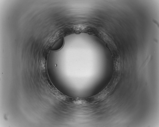 X0000099540561200805301503