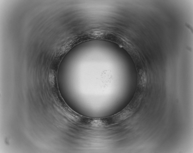 X0000099540562200805301503