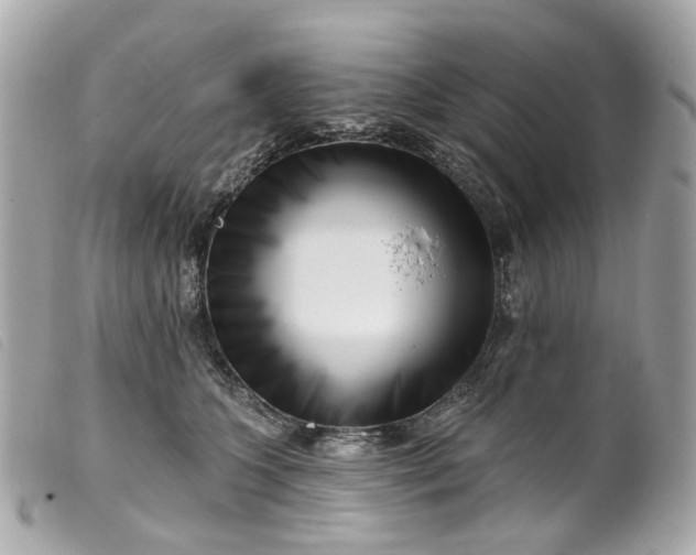 X0000099540563200805301503