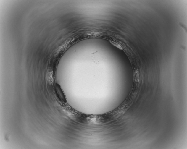 X0000099540564200805301503