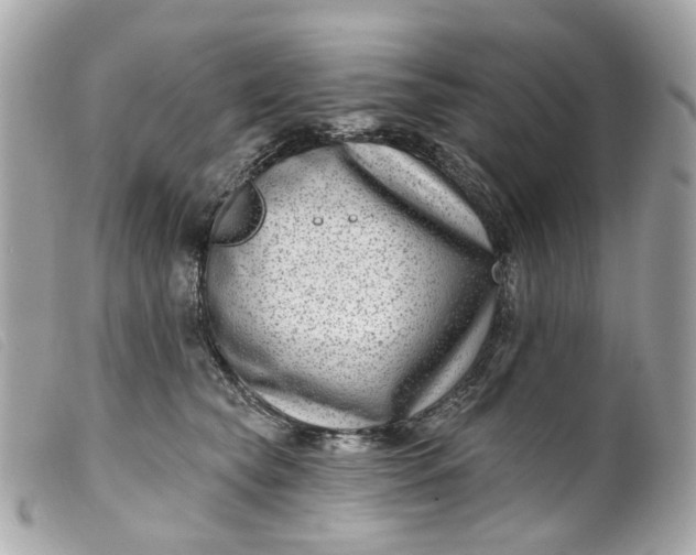 X0000099540565200805301503