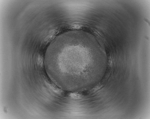 X0000099540568200805301503