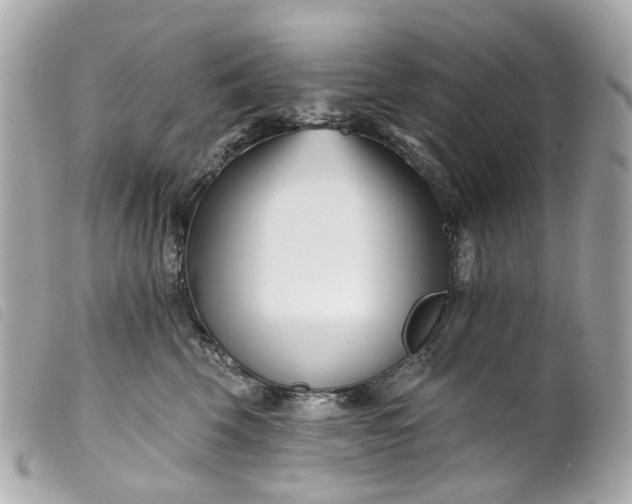 X0000099540569200805301503