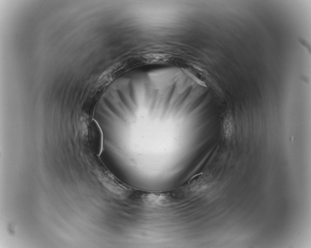 X0000099540570200805301503