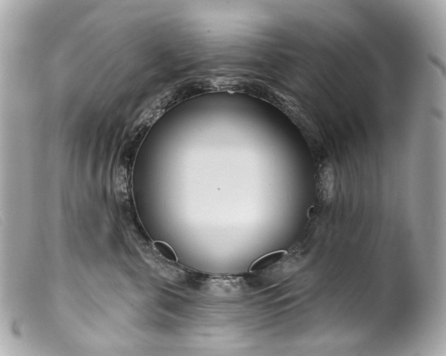 X0000099540571200805301503