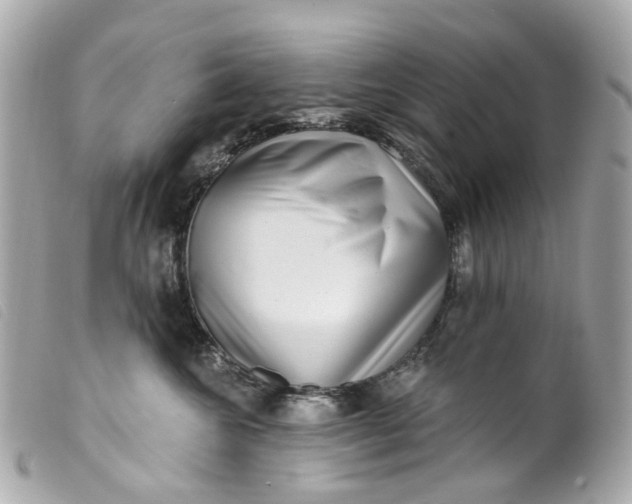 X0000099540572200805301503