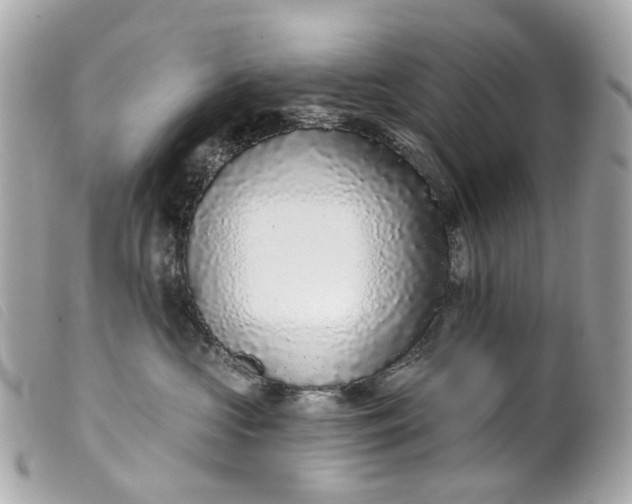 X0000099540573200805301503