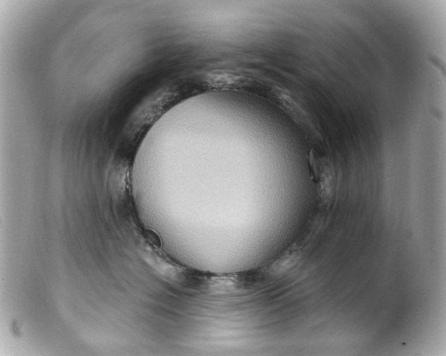 X0000099540574200805301503