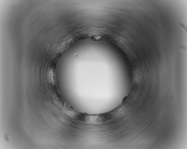 X0000099540575200805301503