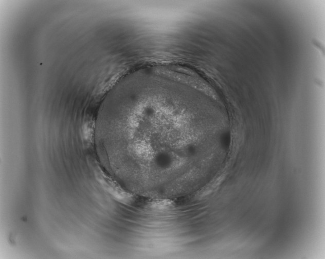 X0000099540576200805301503