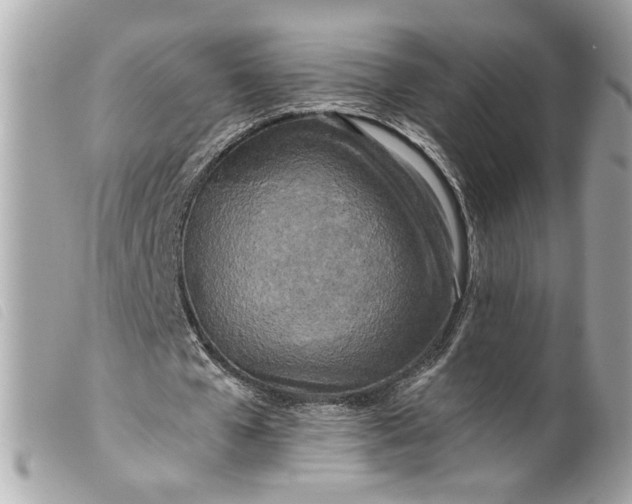 X0000099540577200805301502