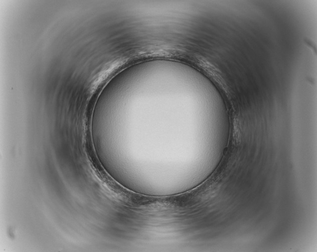 X0000099540578200805301502