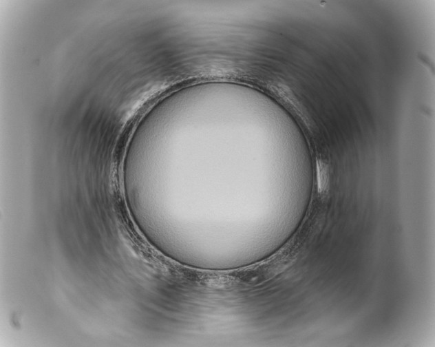 X0000099540579200805301502