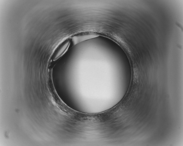 X0000099540580200805301502