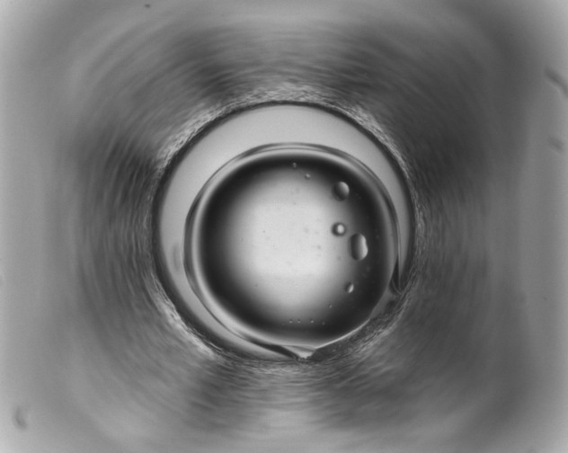 X0000099540581200805301502