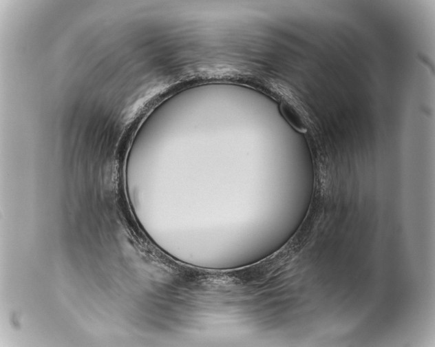 X0000099540583200805301502