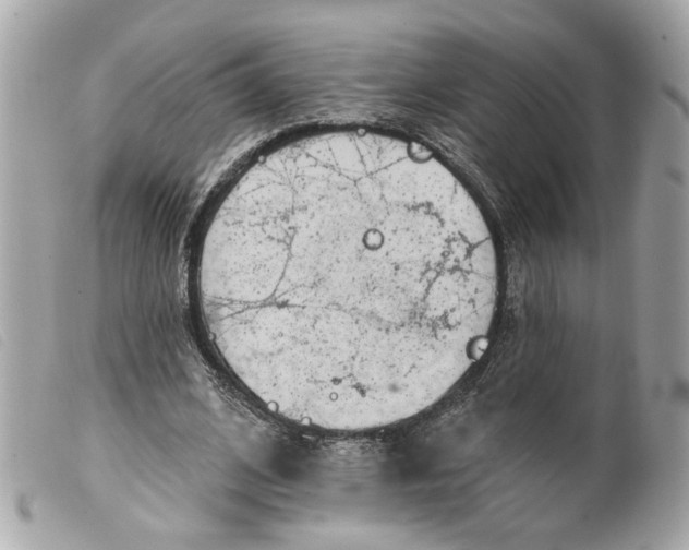 X0000099540584200805301502