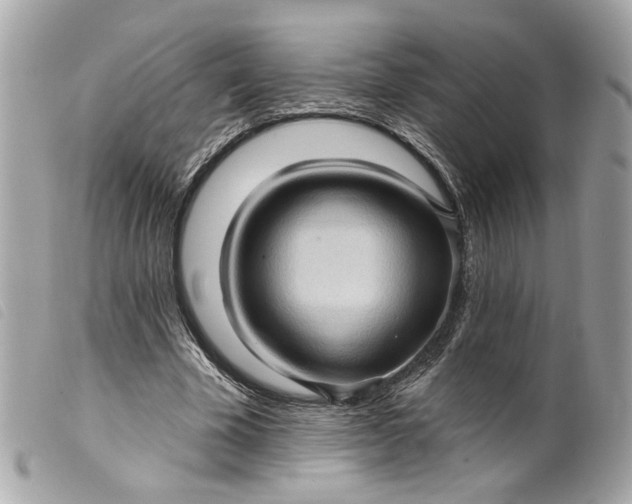 X0000099540585200805301502