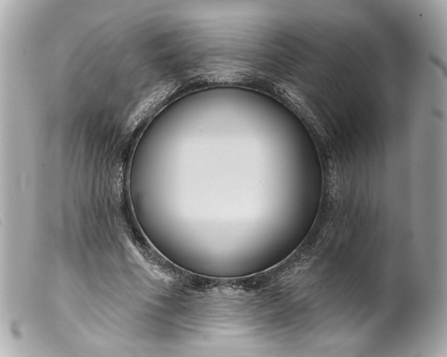 X0000099540586200805301502