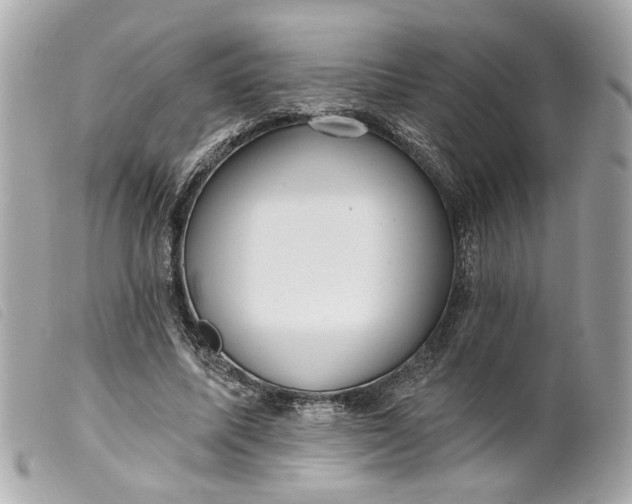 X0000099540587200805301502