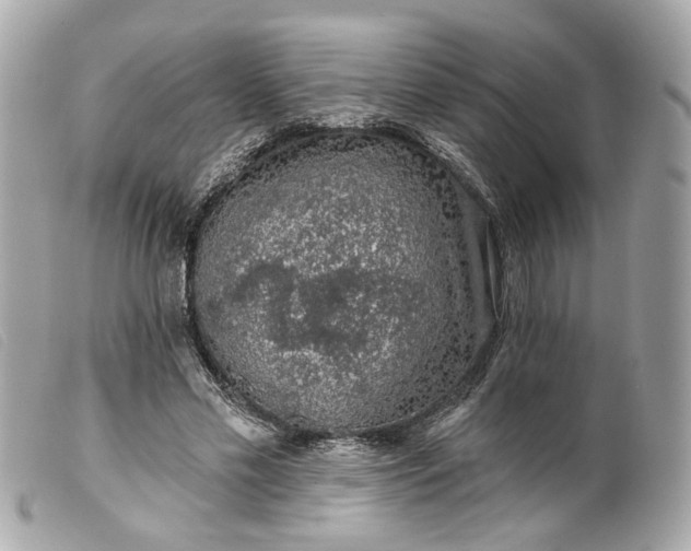 X0000099540589200805301502