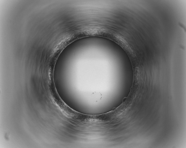 X0000099540590200805301502