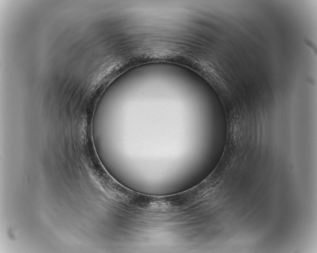 X0000099540591200805301502