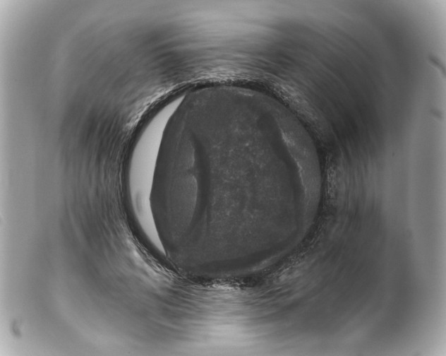 X0000099540592200805301502