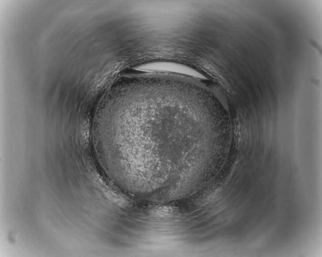 X0000099540593200805301502