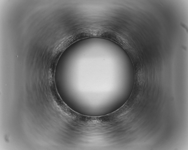 X0000099540594200805301502