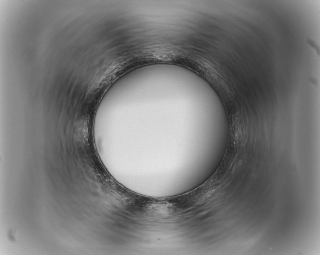 X0000099540595200805301502