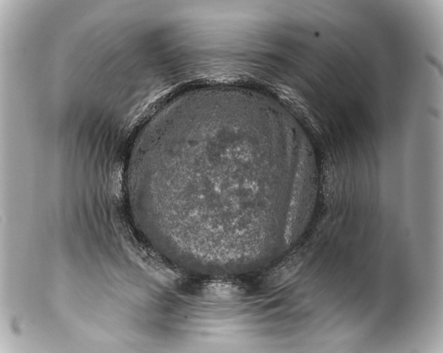 X0000099540596200805301502