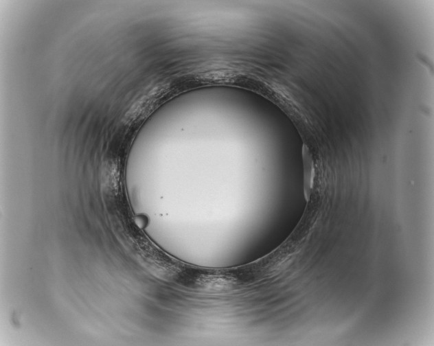 X0000099540597200805301502