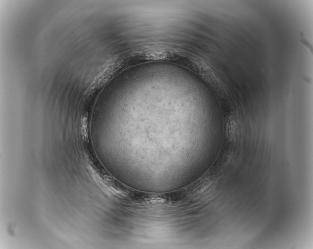 X0000099540598200805301502