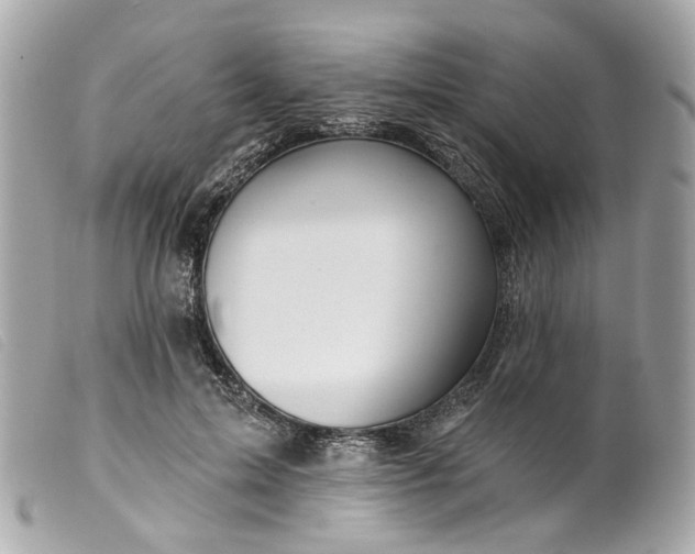 X0000099540599200805301502