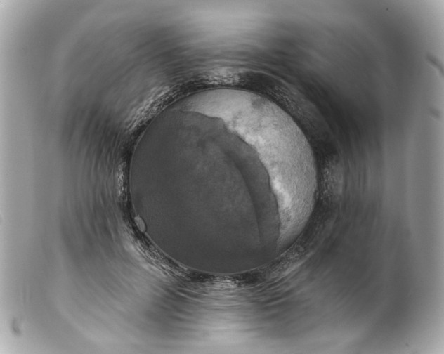 X0000099540600200805301502