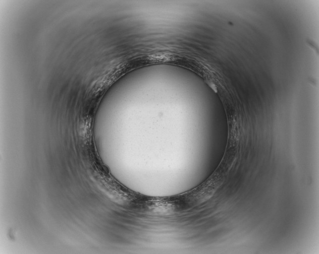 X0000099540601200805301502