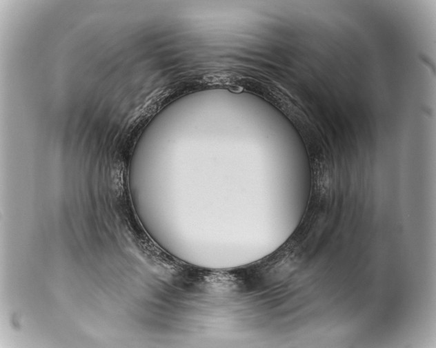 X0000099540603200805301502