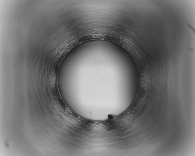 X0000099540604200805301502