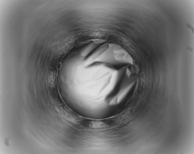 X0000099540605200805301502