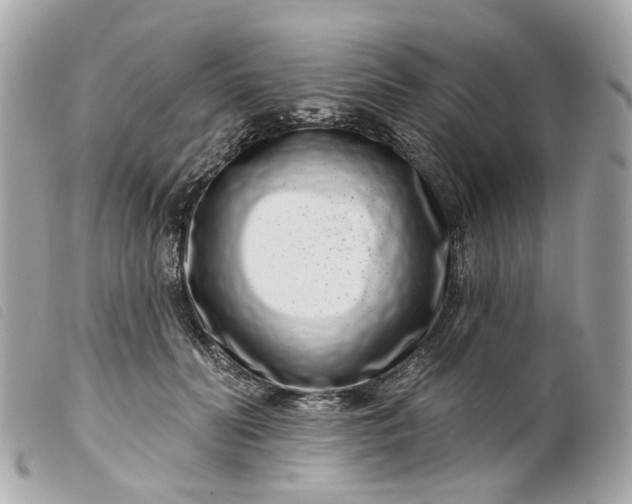 X0000099540606200805301502