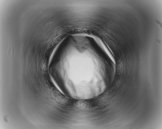 X0000099540608200805301502