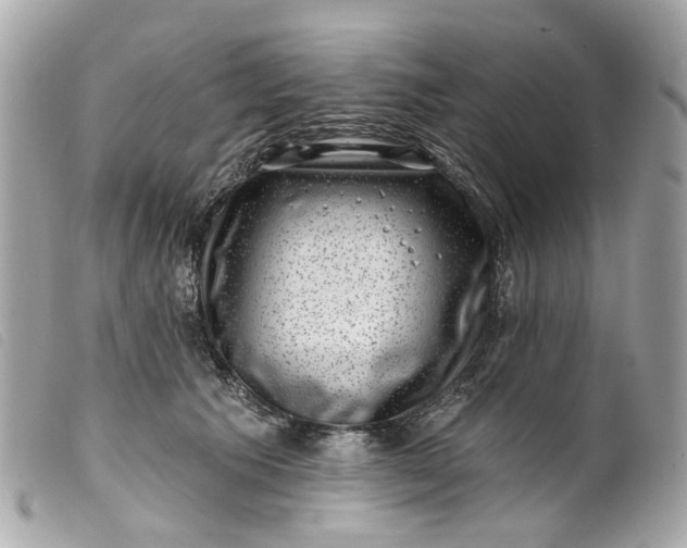 X0000099540609200805301502