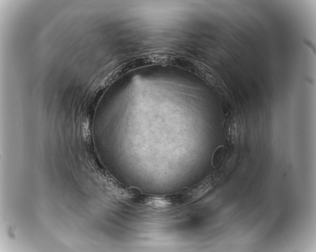 X0000099540610200805301502