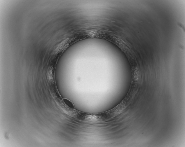 X0000099540611200805301502